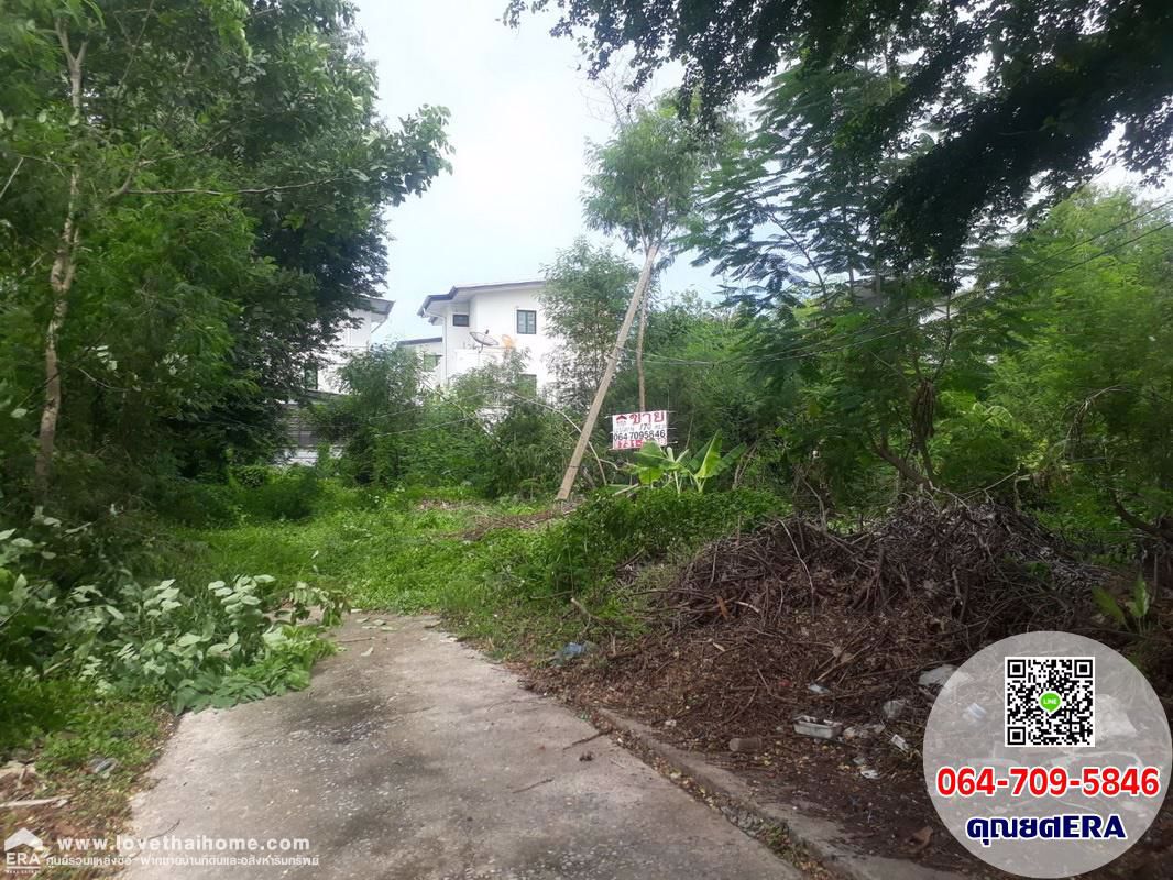 ที่ดิน-ถมแล้ว-เนื้อที่-170-ตรว-ถนนสุขาภิบาล-5-ซอย-40